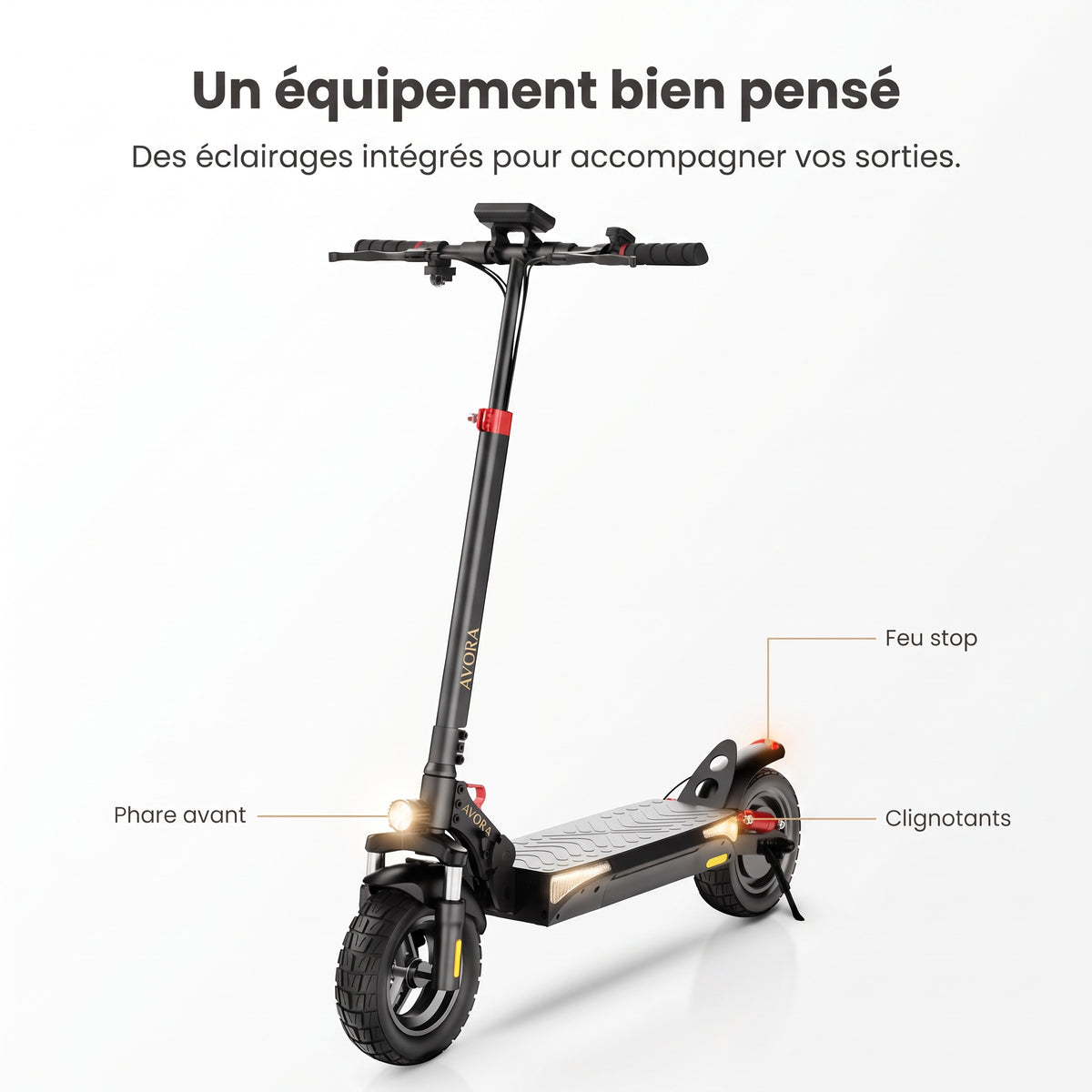 AVORA Trail 800 — Phare, feu stop et clignotants