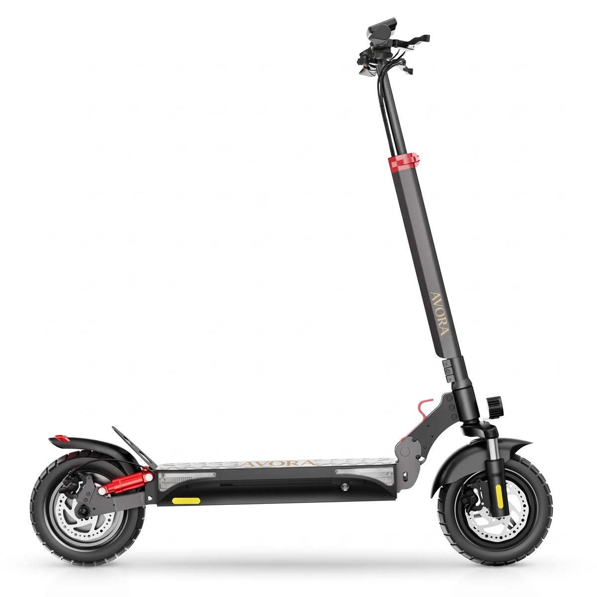 AVORA Trail 800 — Vue de profil